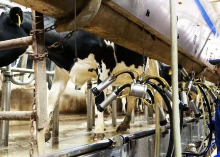Nebraska Works to Recruit Dairy Farmers From Other States Da