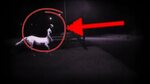 Centaur Caught On Tape! - YouTube