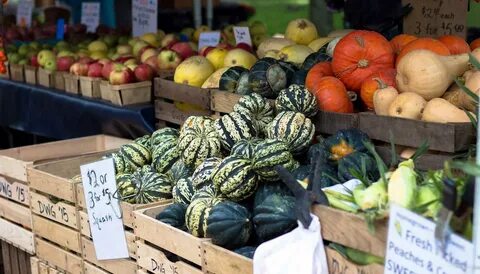 Farm Foods Market Related Keywords & Suggestions - Farm Food