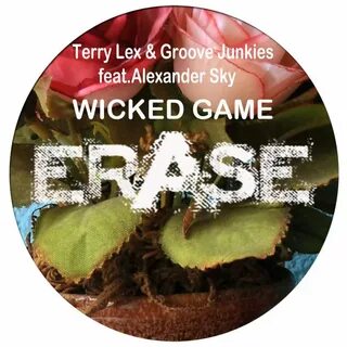 Terry Lex feat. Groove Junkies - Wicked Game 의 가사 Musixmatch