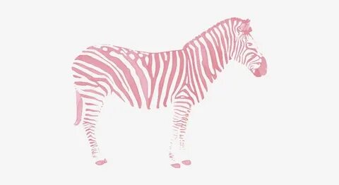Zebra Love, Plus So Pretty In Pink - Zebra Transparents Tran
