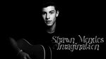 Shawn Mendes Imagination ( Lyrics ) - YouTube