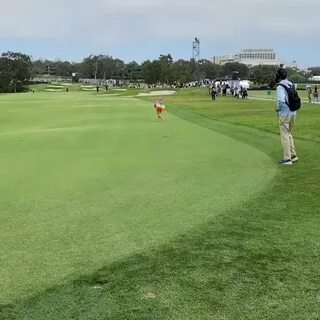 Dimers.com's tweet - "🚨 STREAKER AT THE GOLF 🚨