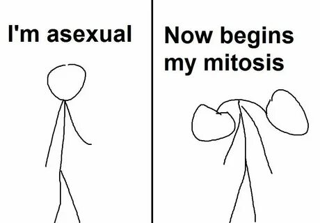 My Top 10 Asexual Memes Virtual Ace Amino