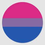 Bisexual Flag Classic Round Sticker Zazzle.com