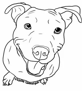 Pitbull Coloring Pages PDF - Coloringfolder.com Dog coloring