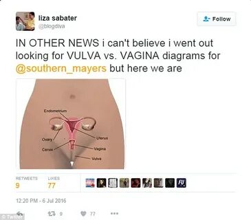 Jennifer Mayers compares Taylor Swift's vagina to a ham sand