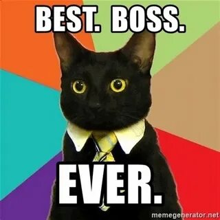 Best boss ever Memes