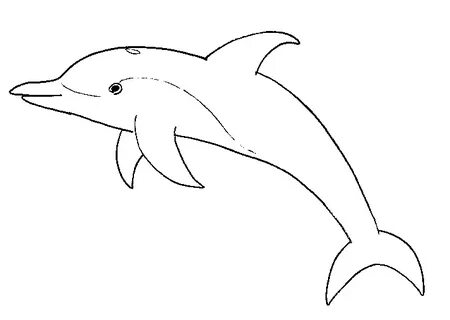 Dibujos de Delfín #5114 (Animales) para colorear - Páginas i