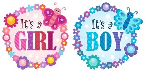 Is it a Girl or Boy Theme 5 Stock Vector - Illustration of b