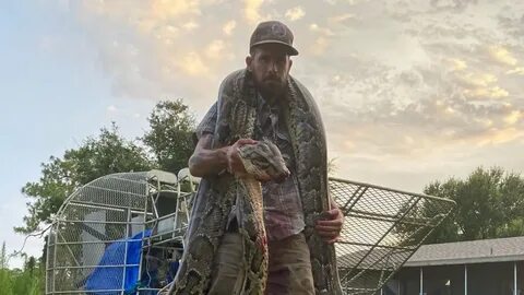Shocking! Snake hunter fights with 17-foot-python, left with
