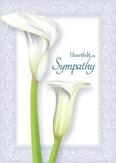 123 Sympathy Cards Free Related Keywords & Suggestions - 123