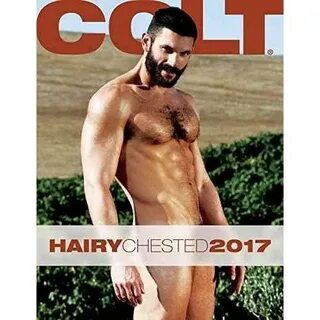 2017 Colt Hairy Chested Calendar 9781880778128