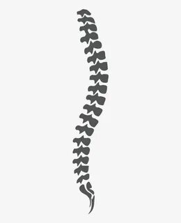 Spine - Orthopedic Black And White PNG Image Transparent PNG