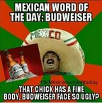 🐣 25+ Best Memes About Mexican Word of the Day Budweiser Mex