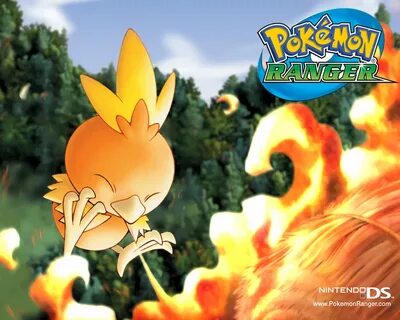 Torchic Wallpapers Wallpapers - All Superior Torchic Wallpap