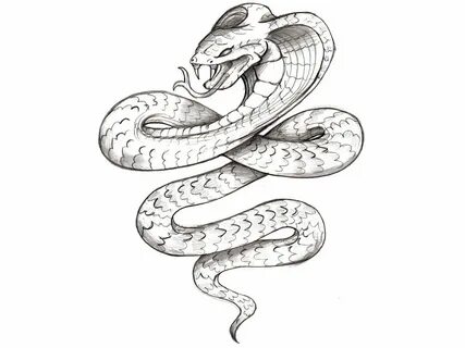 Snake head tattoo ... name-tattoo-designs/free-designs-evil-