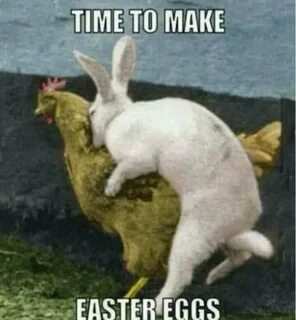 90+ Easter Memes That'll Make Everyone Laugh