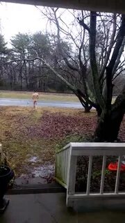 Naked streaking dare - ThisVid.com