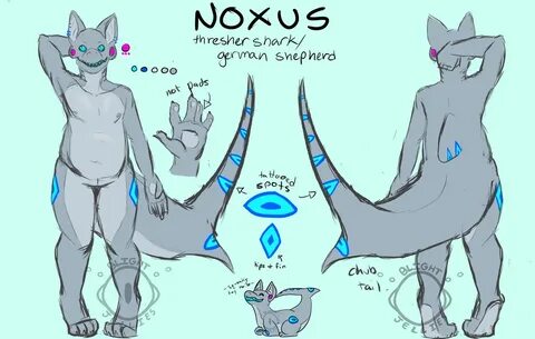 Noxus the Thresher shark - Weasyl