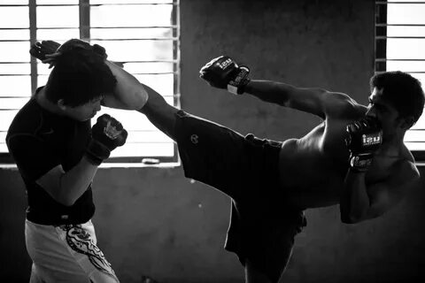 Какое боевое искусство лучше выбрать: тайский бокс, кикбокси