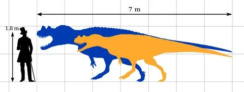 File:Ceratosaurus Size Comparison by PaleoGeek.svg - Wikimed