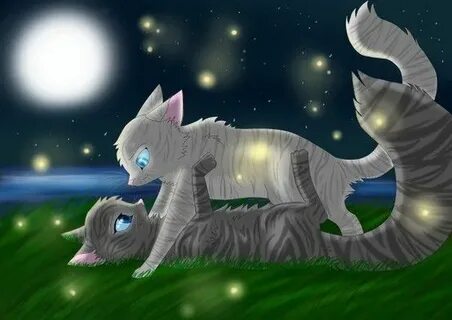 Well I'm not huge on Jayfeather and Willowshine but I love t