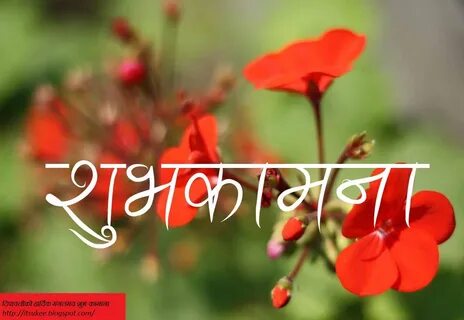 Beautiful Happy Birthday Wishes In Nepali Language Top colec