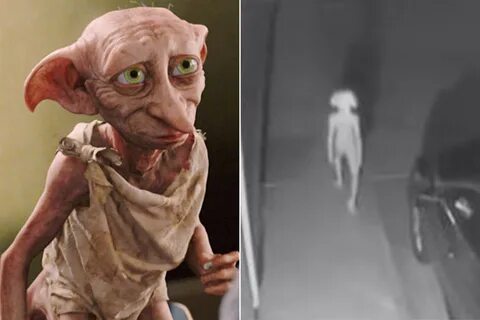 Creepy security footage has people wondering if Dobby is rea