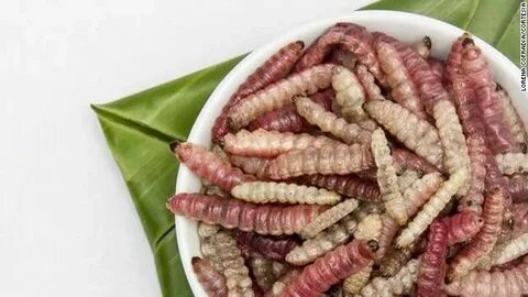 Gusanos (agave worms) http://eatocracy.cnn.com/2013/05/30/me