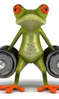 Download wallpaper sport, graphics, frog, dumbbell, free fro