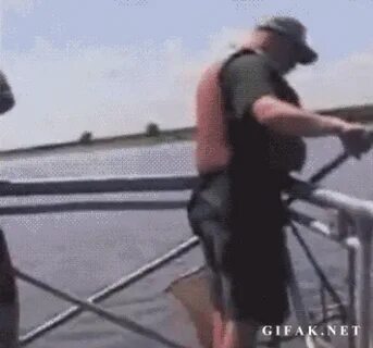 Funny Fishing GIFs - 73 Pieces of Animated Pictures About Fi