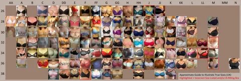 Visual guide to illustrate correct bra sizes (UK sizing). Co