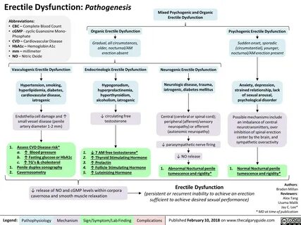 Erectile Dysfunction: Pathogenesis