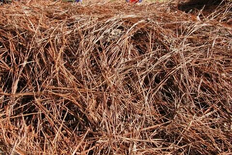 Mulch or Pine Straw? We Can Help You Choose! - Sharp Tree Se