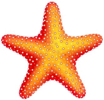 starfish clipart - Clip Art Library