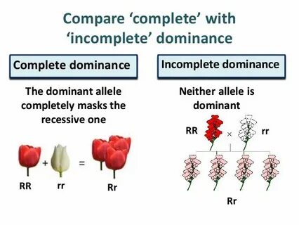 Incomplete Flowers Versus Complete - Flower Info