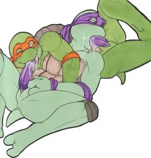 How Do Turtles Have Sex - Heip-link.net