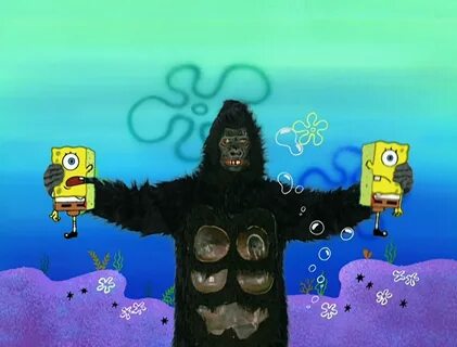 Gorilla Encyclopedia SpongeBobia Fandom