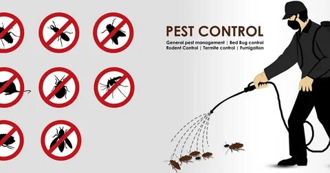 Execute Pest Control