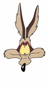 Wile E Coyote Face - Фото база