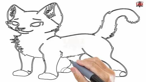 How to Draw a Warrior Cat Easy Step By Step Drawing Tutorial