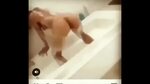 Malu trevejo porn 🌈 FULL VIP VIDEO: Malu Trevejo Nude Onlyfa