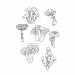 Mushroom Tattoo Stencils Related Keywords & Suggestions - Mu