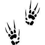 Bear claw mark cliparts clipart sirgo cliparts 8 - WikiClipA