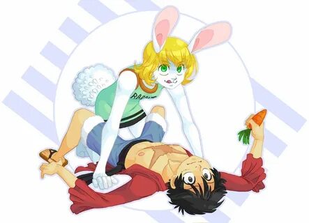 One Piece Luffy,Carrot One piece luffy, Anime, Luffy