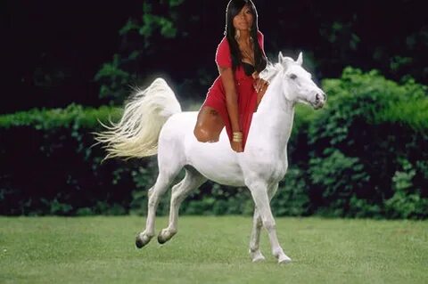 Hot Sexy Black Woman rides on her Beautiful Lipizzaner Stall