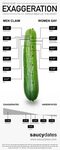 How Long Is The Average Penis? Guide Shows Which Men Are Mos