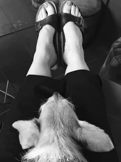 Shirley Manson's Feet wikiFeet