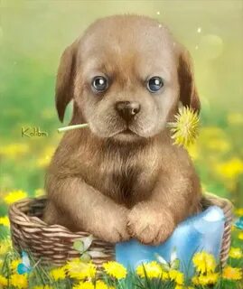 💛 💚 💙 Puppy art, Cute dogs, Cute animals